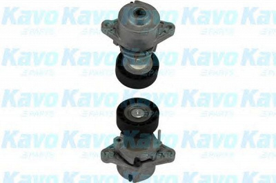 KAVO PARTS dtp3017 -  Натяжной ролик, поликлиновой  ремень